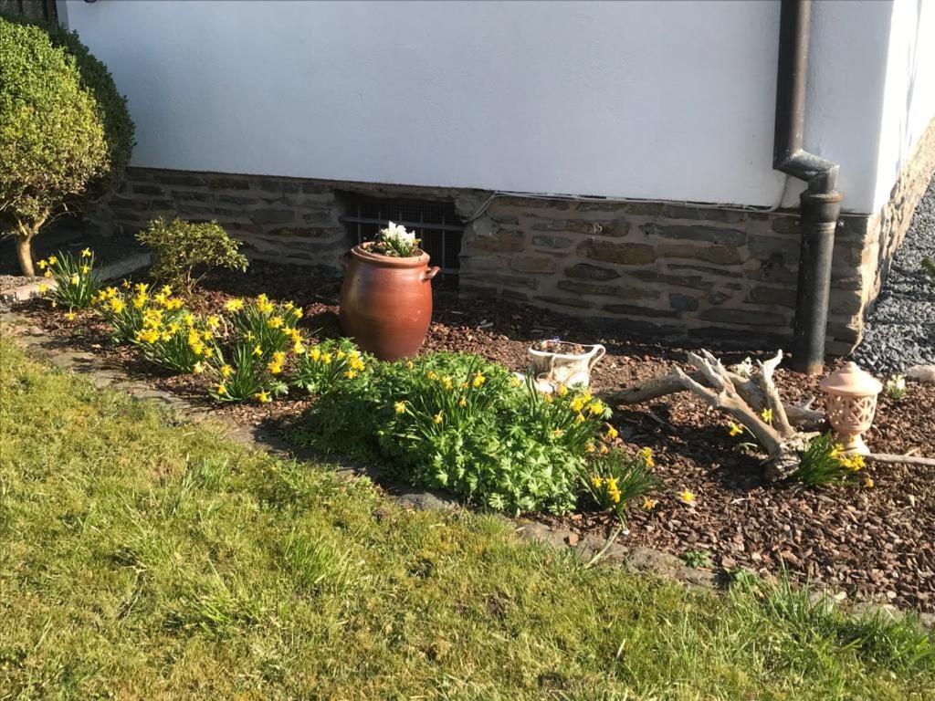Ferienwohnung Sonnen - Terrasse Bernkastel-Kues Exteriér fotografie